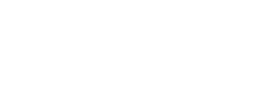 Logo Leapmotor